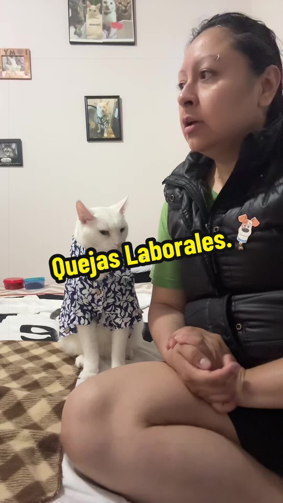 @🦖 MEOWassic CAT😺