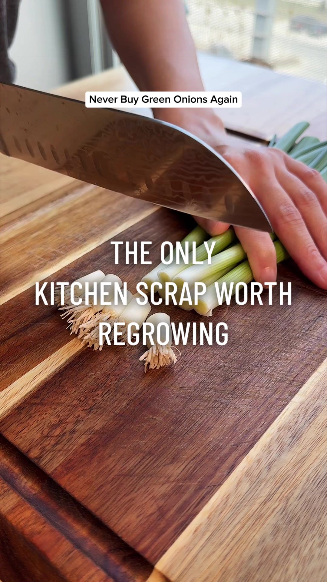 @gardeningindoors