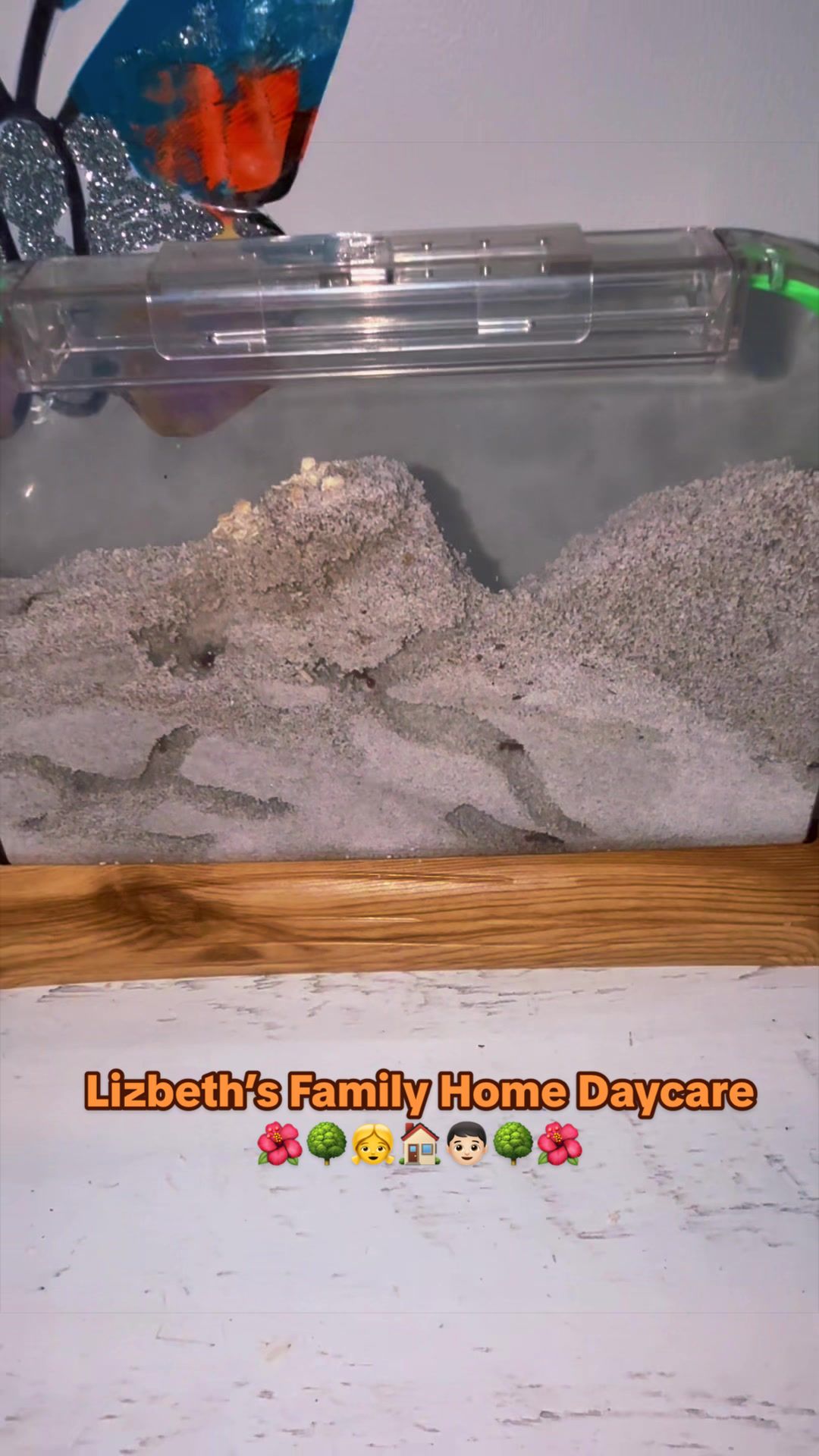 @Lizbeth’s Family Home Daycare