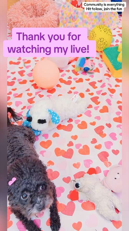@7 11 Audrey✝️💜🙏🏻🌴