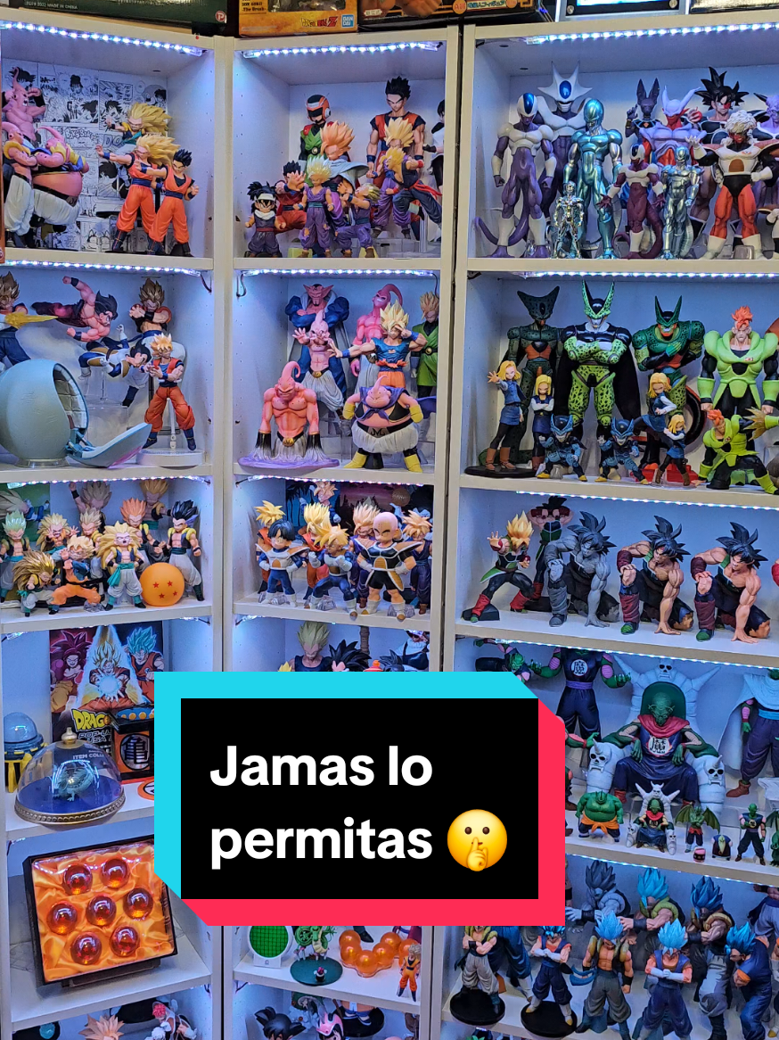 @Aleman's Collection