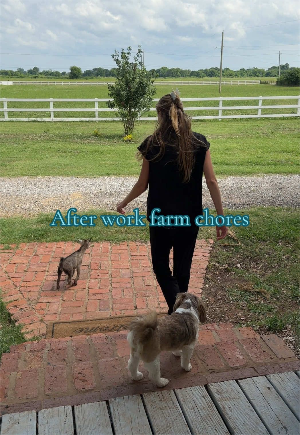 @meg&rsquo;s mini farm