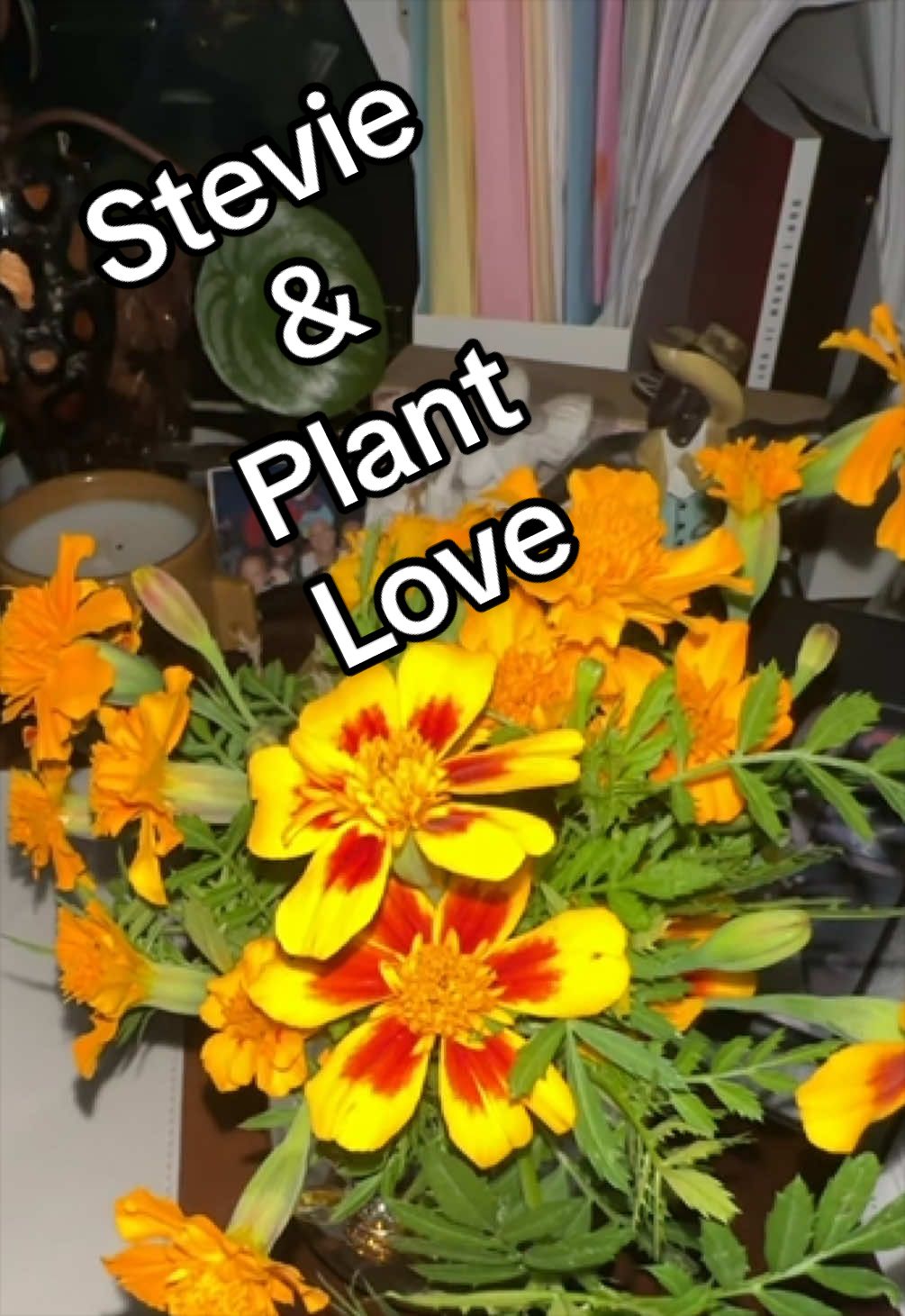 @PrettyGreenPlantThings