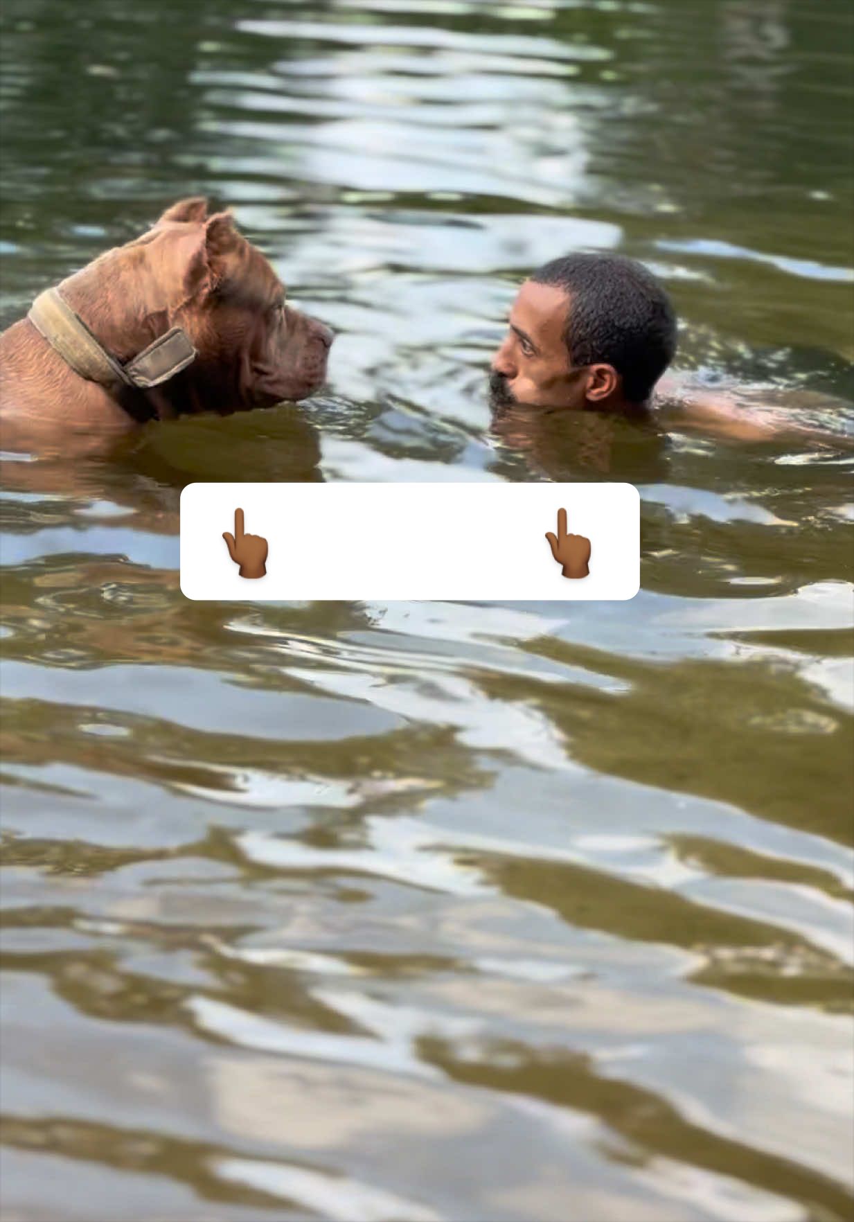 @DarkDynastyK9s