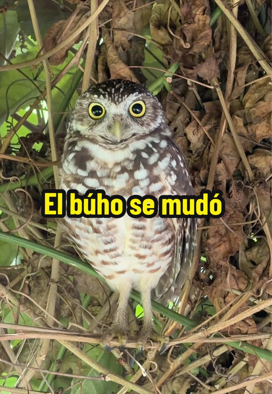 @Aprendiendo con Ana
