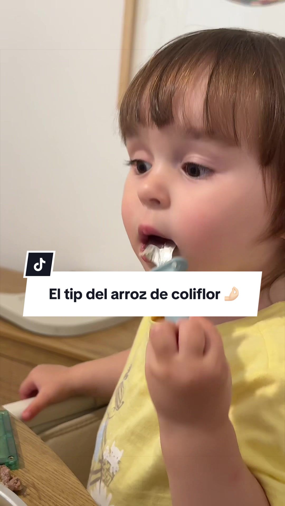 @alevegavalencia