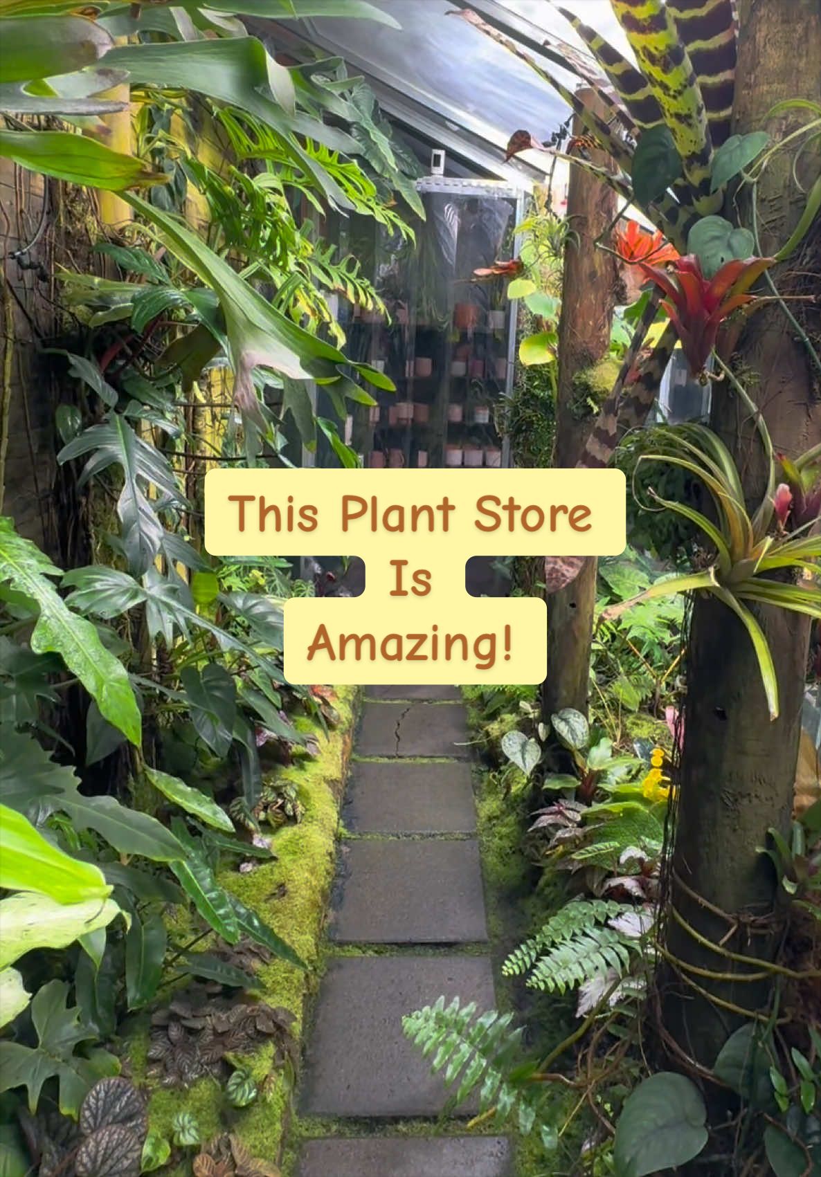@emisuegrows