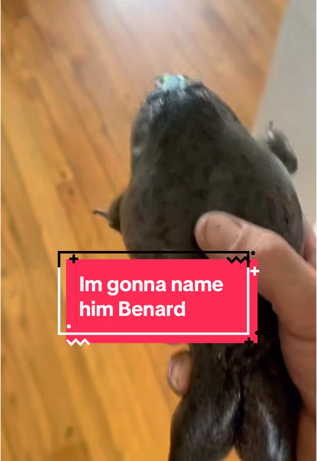 @BenG