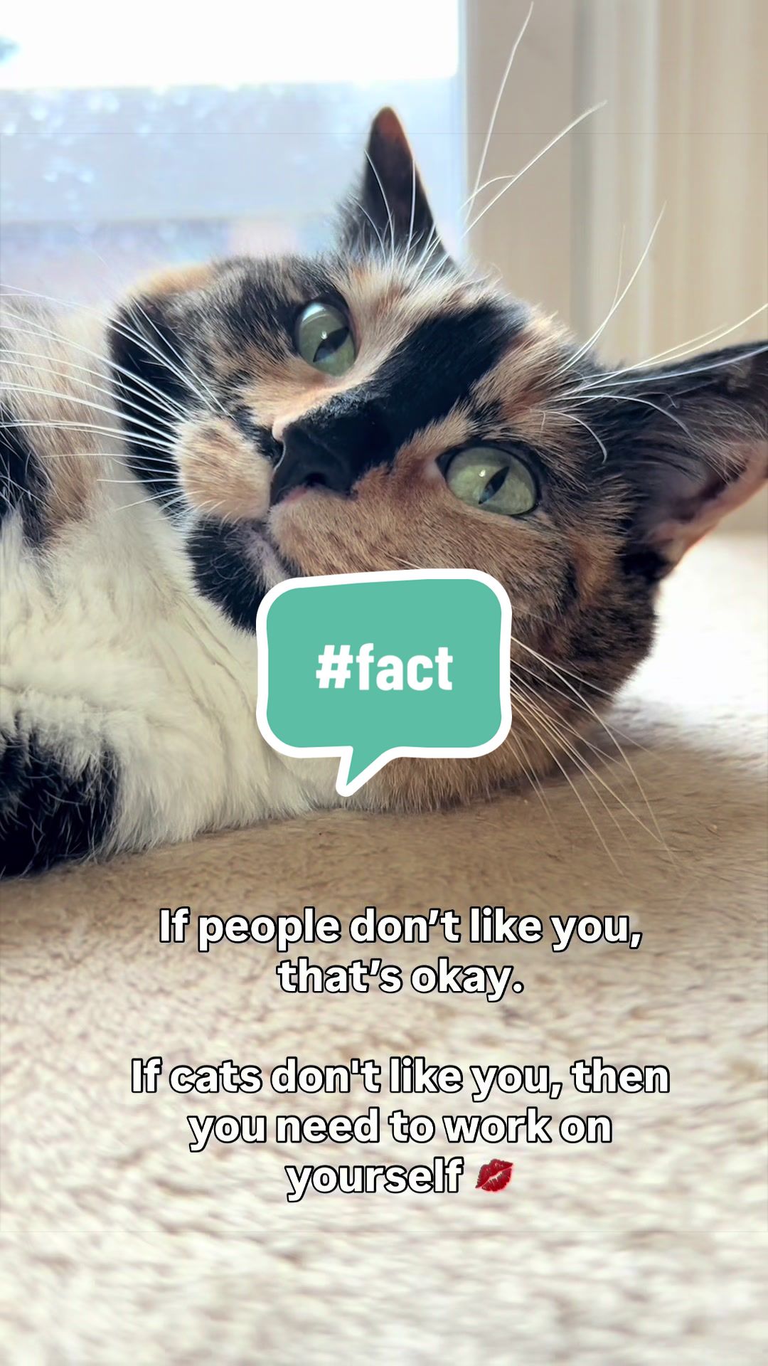 @SnickersTheSmilingCat