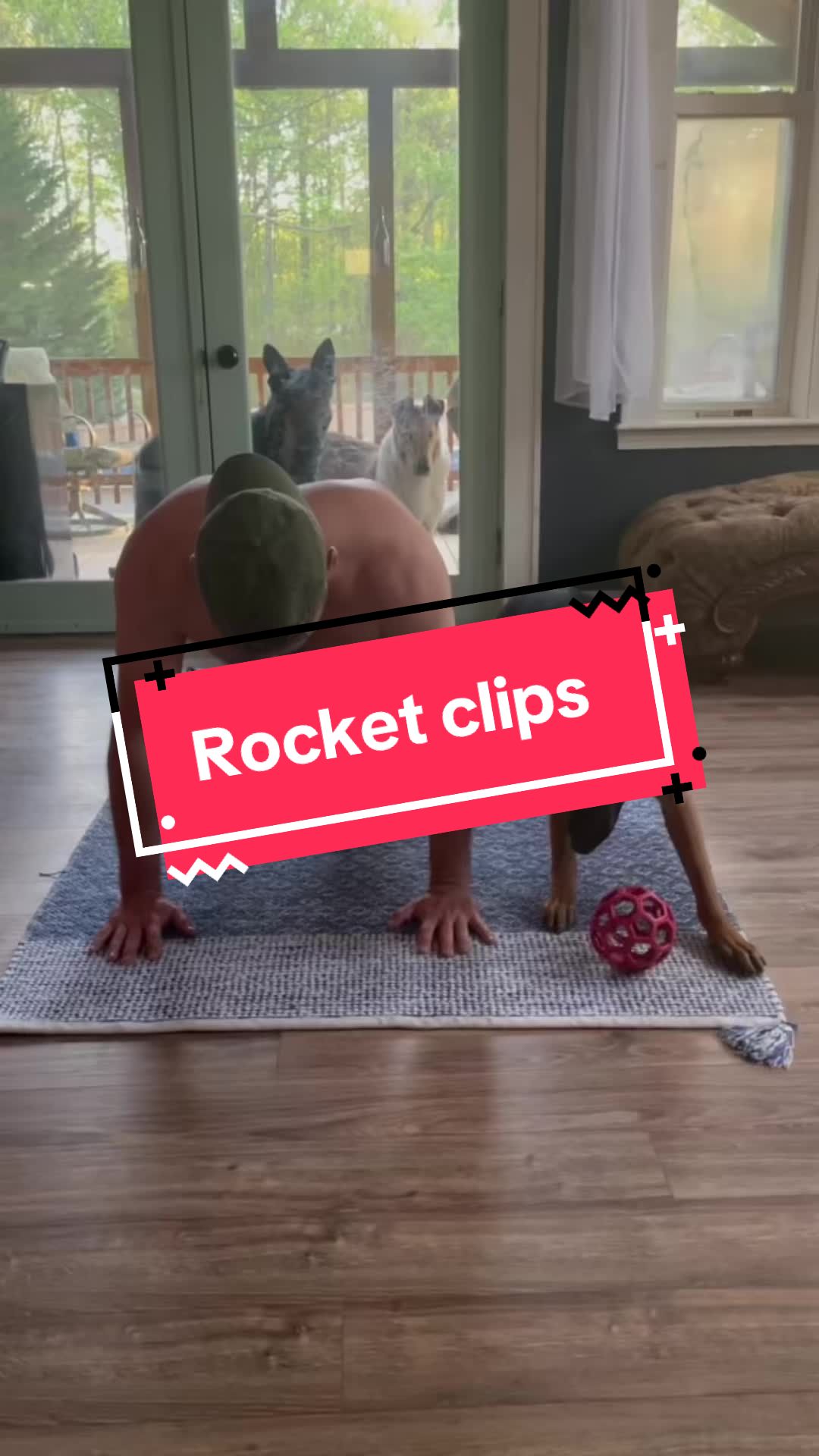@DivineCanineDogTraining