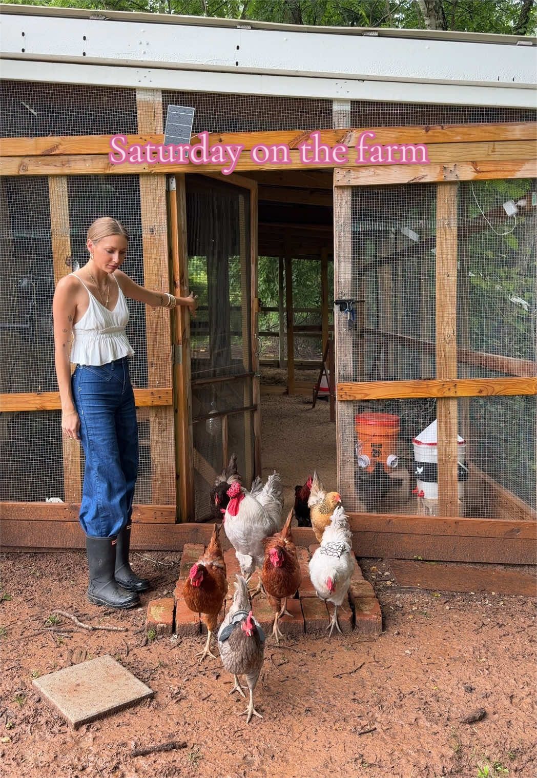 @meg&rsquo;s mini farm
