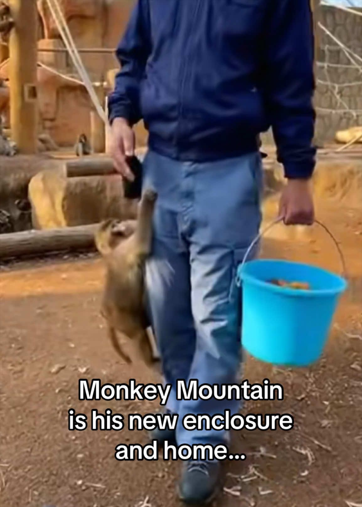 @AnimalWorld