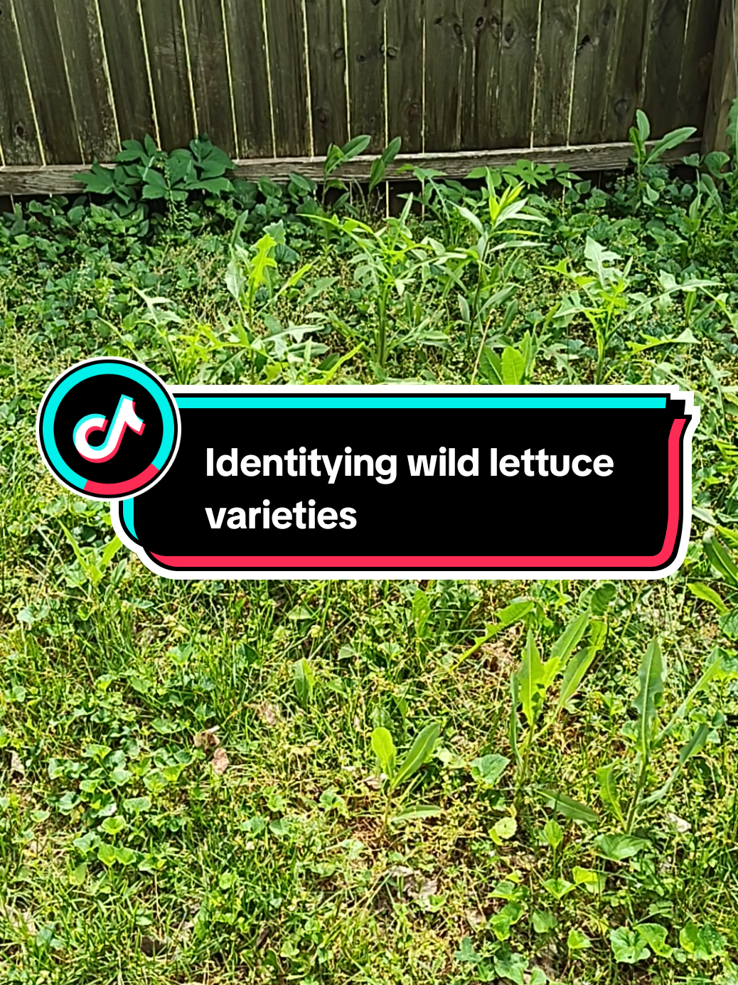 @thegardeningnurse7
