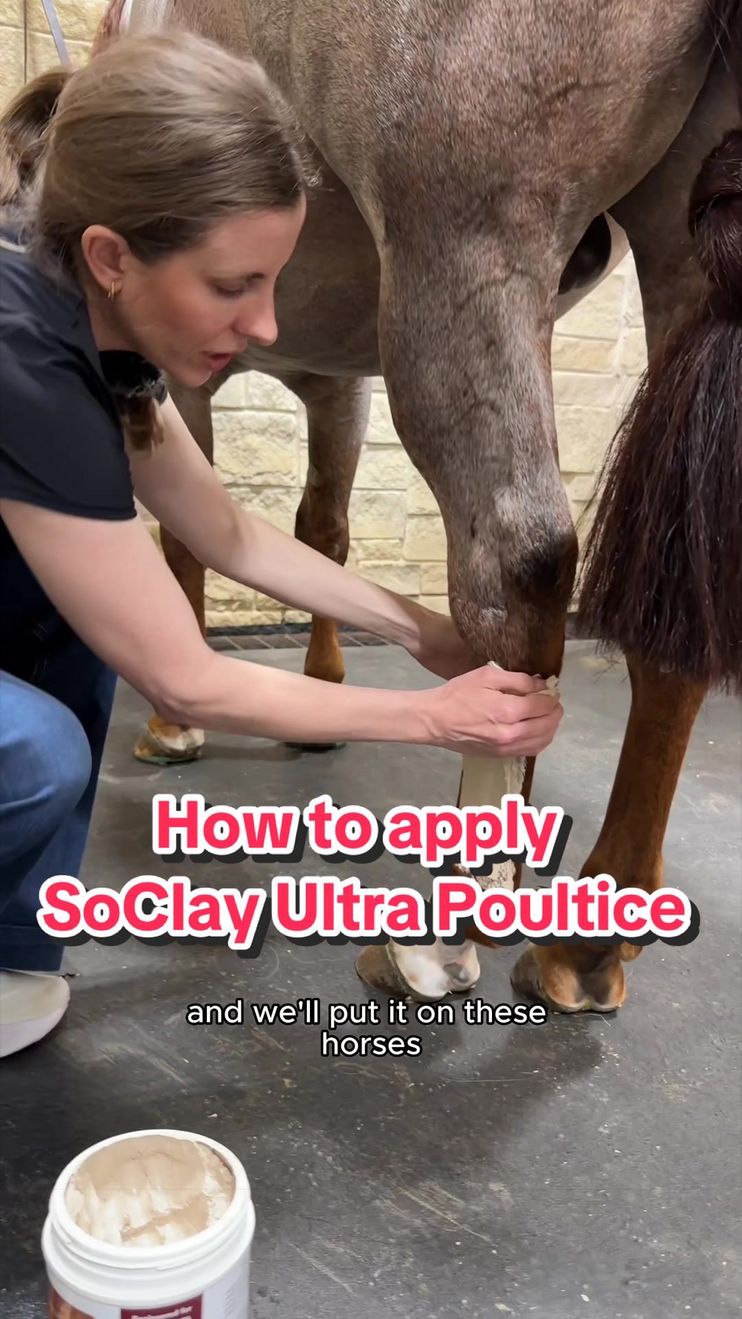 @Solo Select Horses