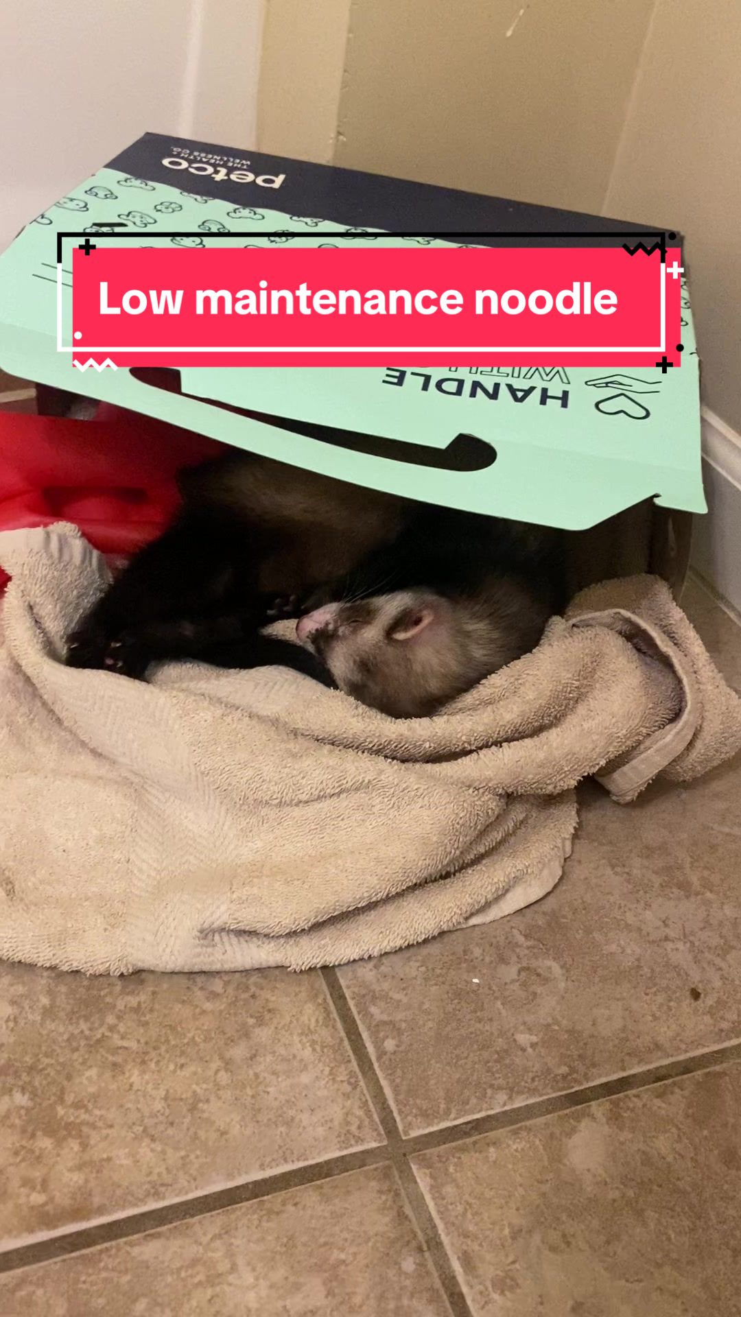 @Noodle_Ventures