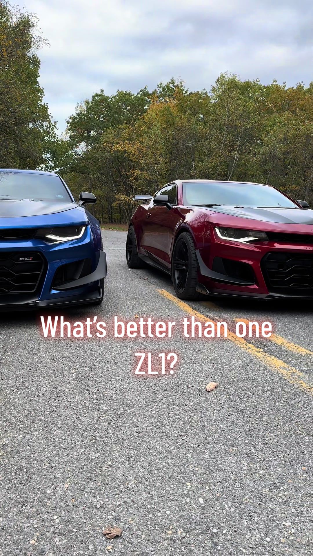 @VR ZL1