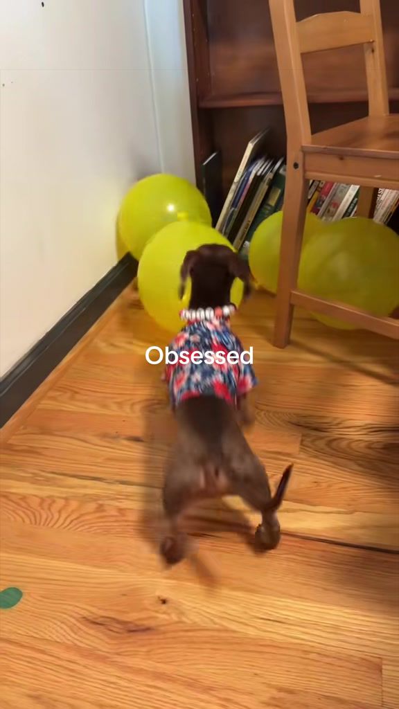 @Sarah and the Peanuts