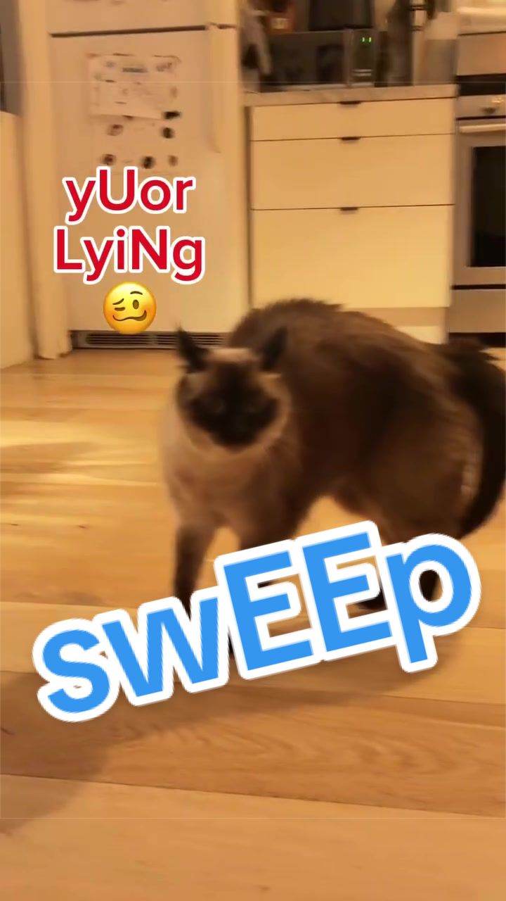 @Merv The Cat