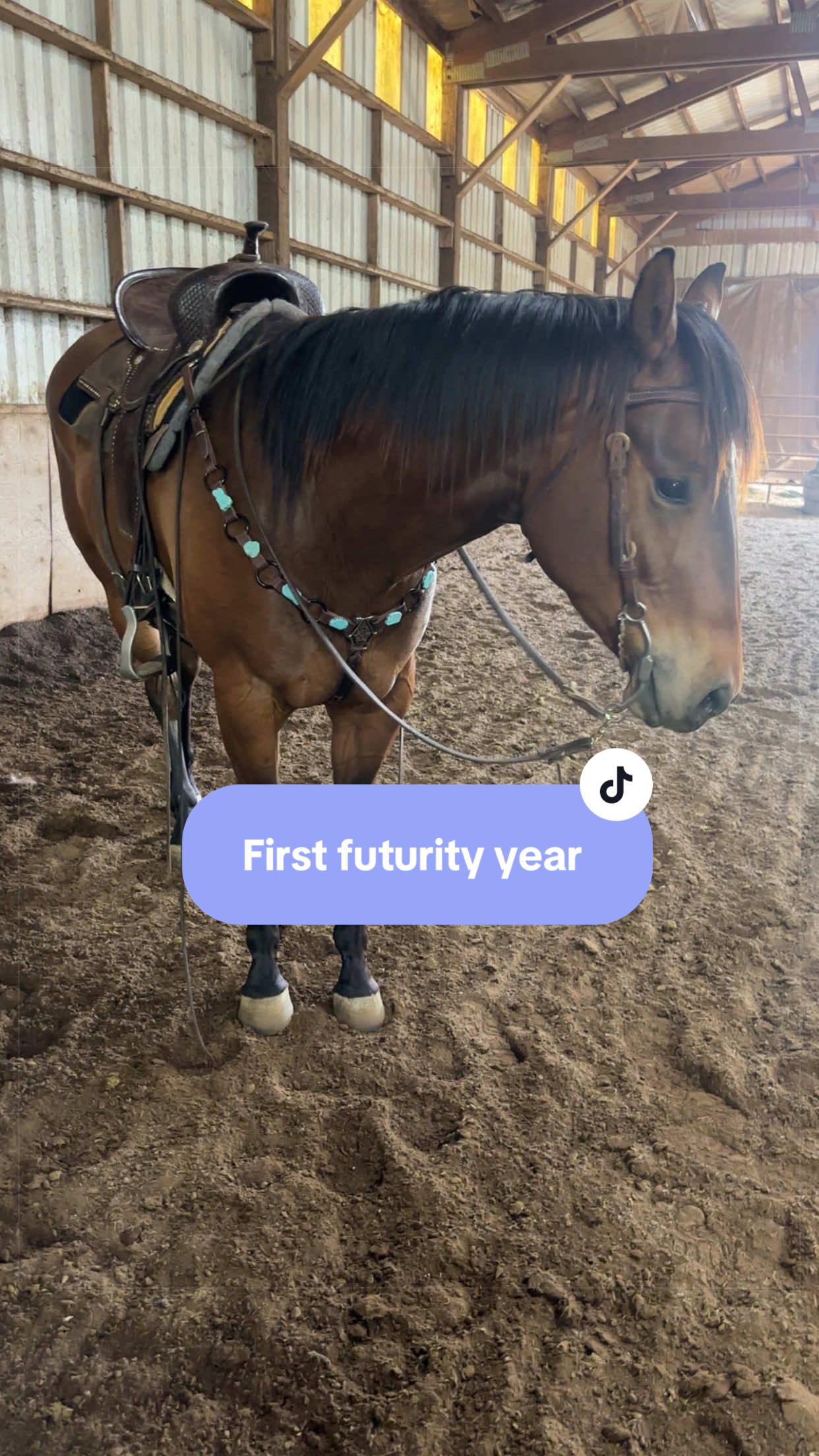 @SAMANTHA | BARREL RACING