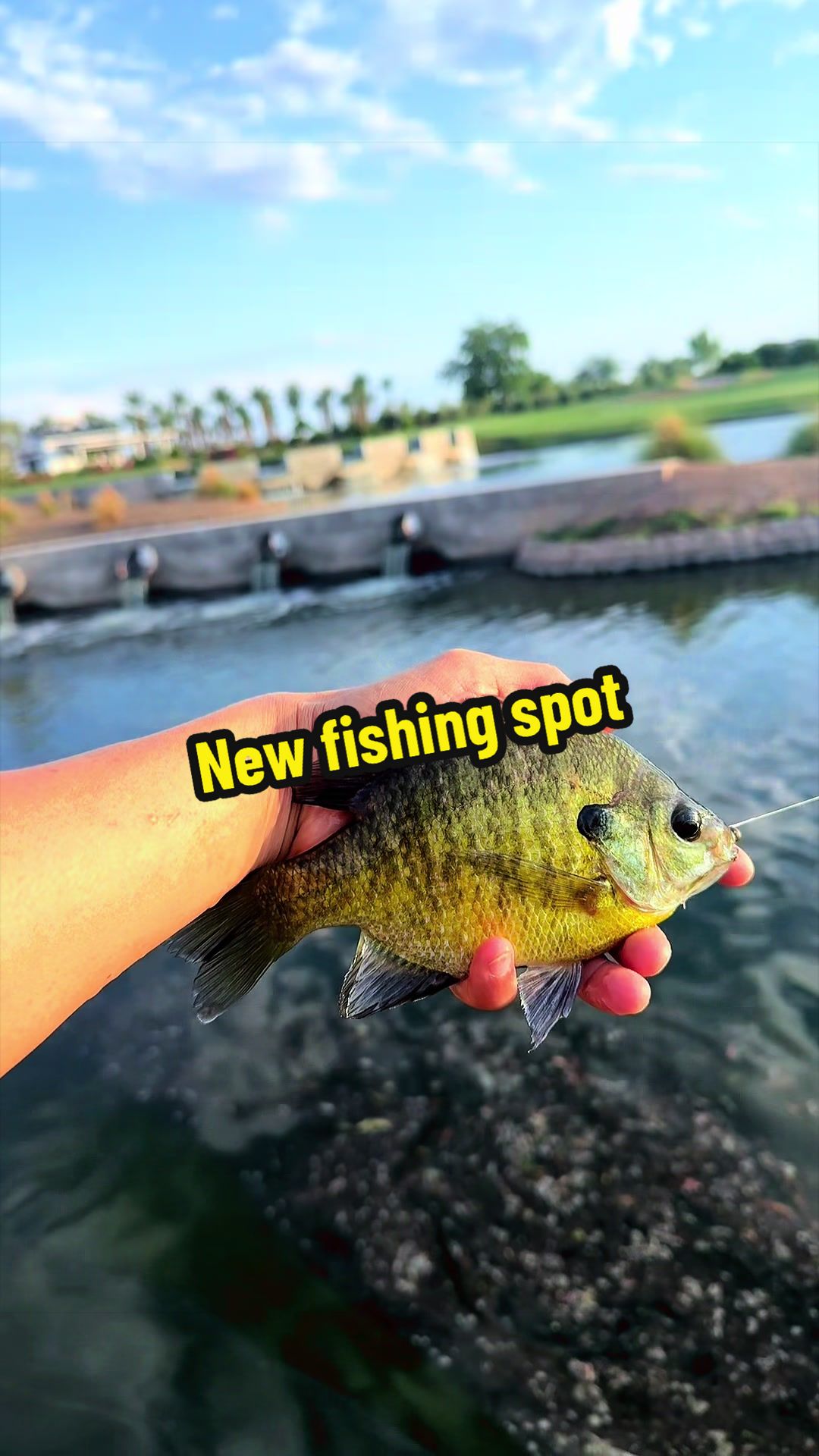 @Luu Nguyen Fishing