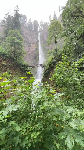 @Multnomah Falls Adventures
