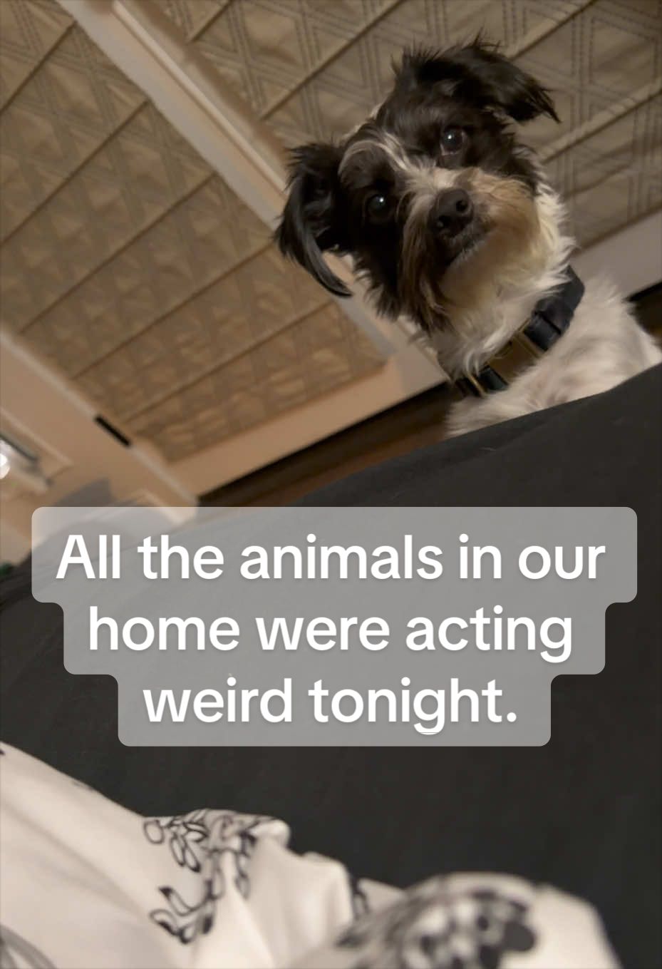 @Inanna Rae