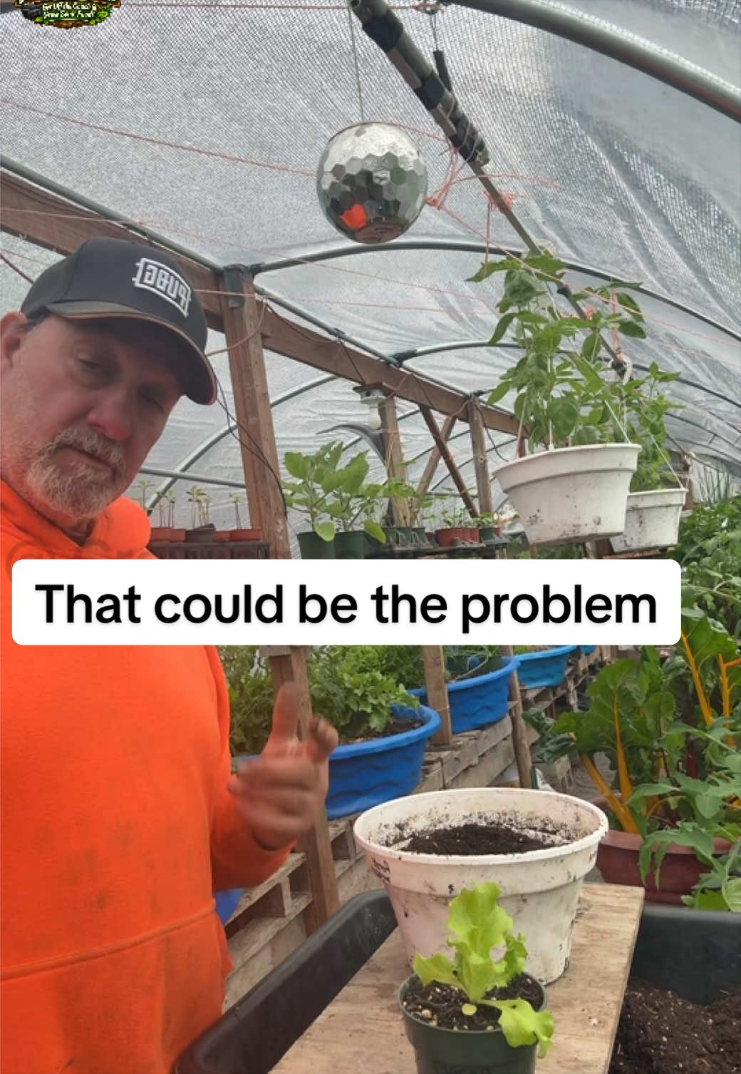 @GROWING_EDIBLE_PLANTS