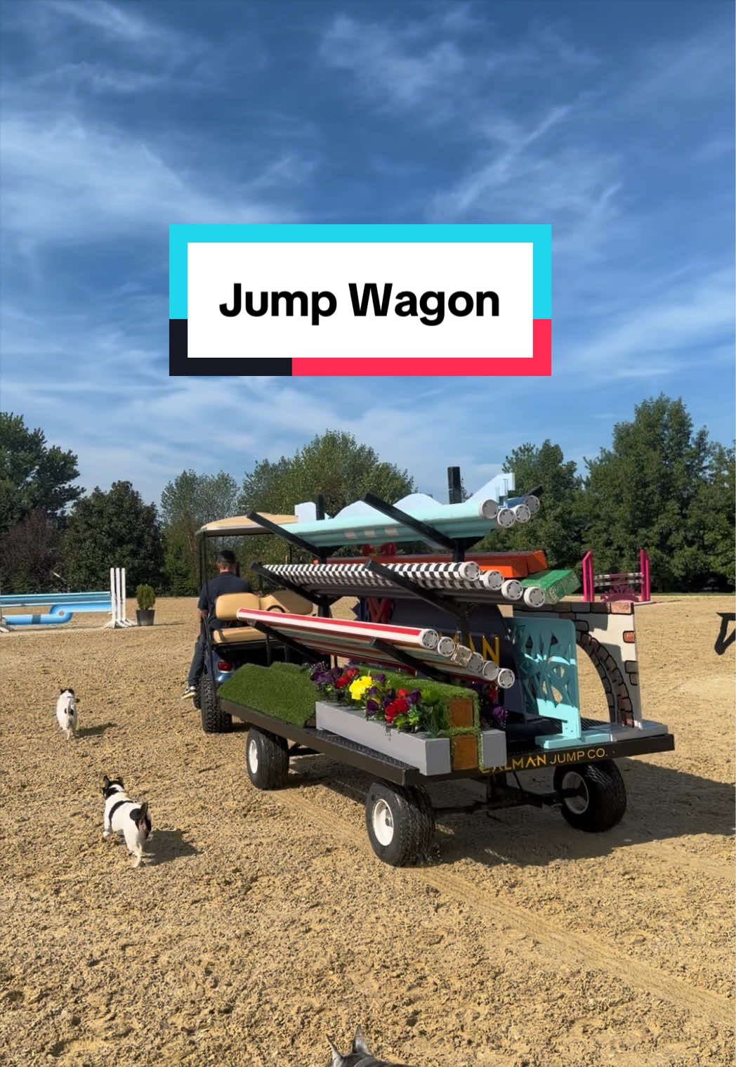 @Dalman Jump Co