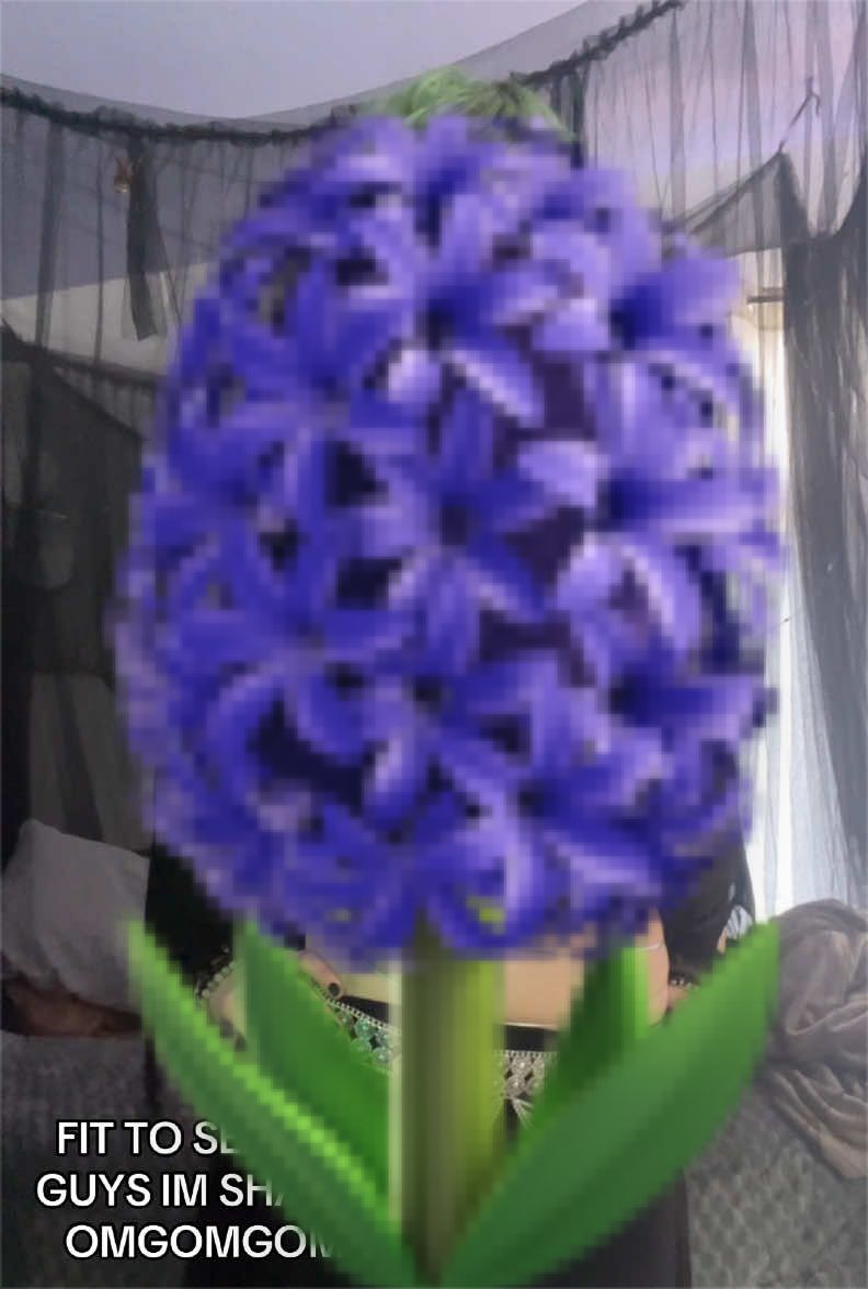 @๐๐๐๐๐ ๐จ