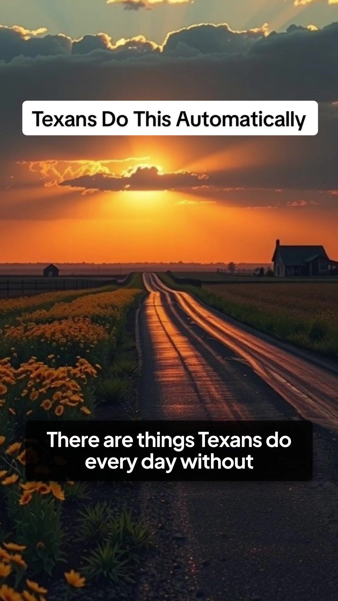 @Texas Untamed