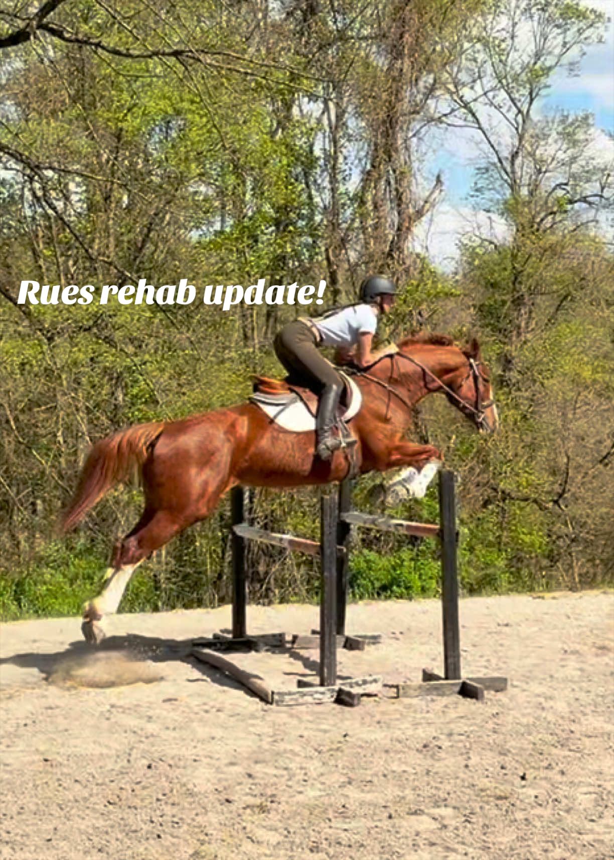 @Lunar Hill Equestrian