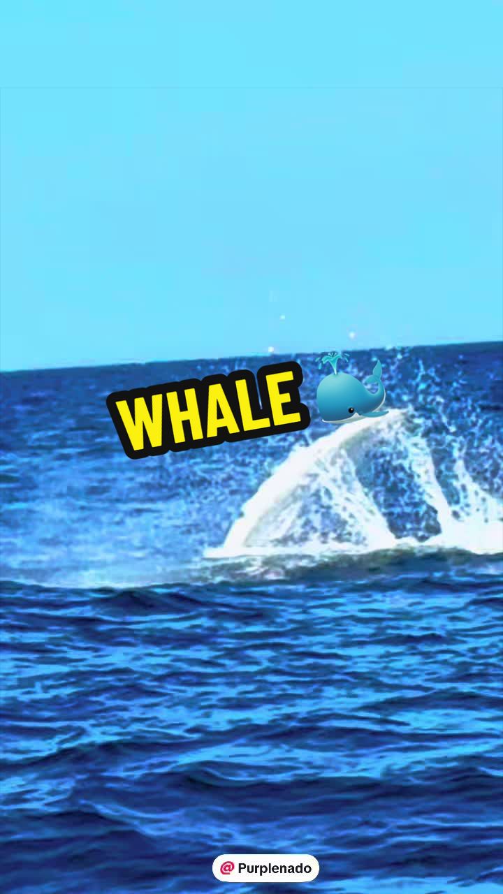 @Purplenado