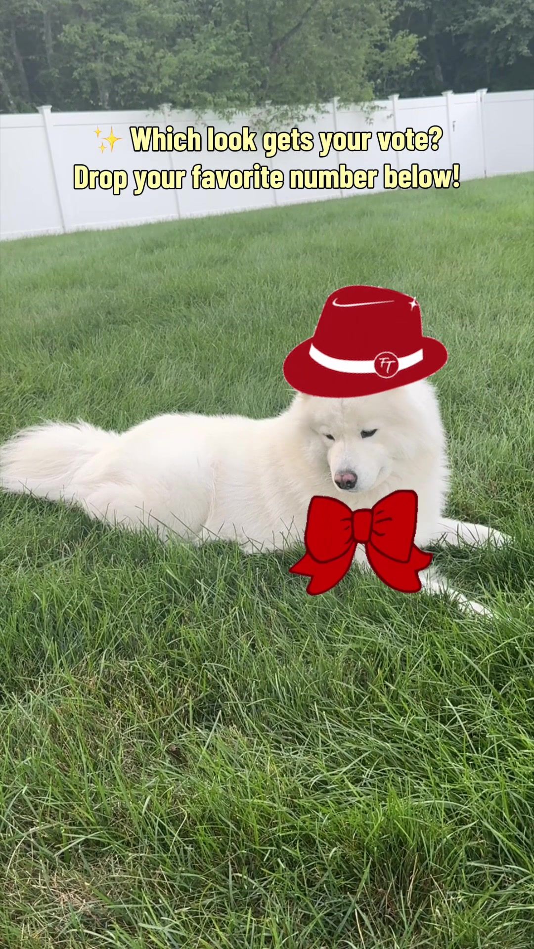 @Koda
