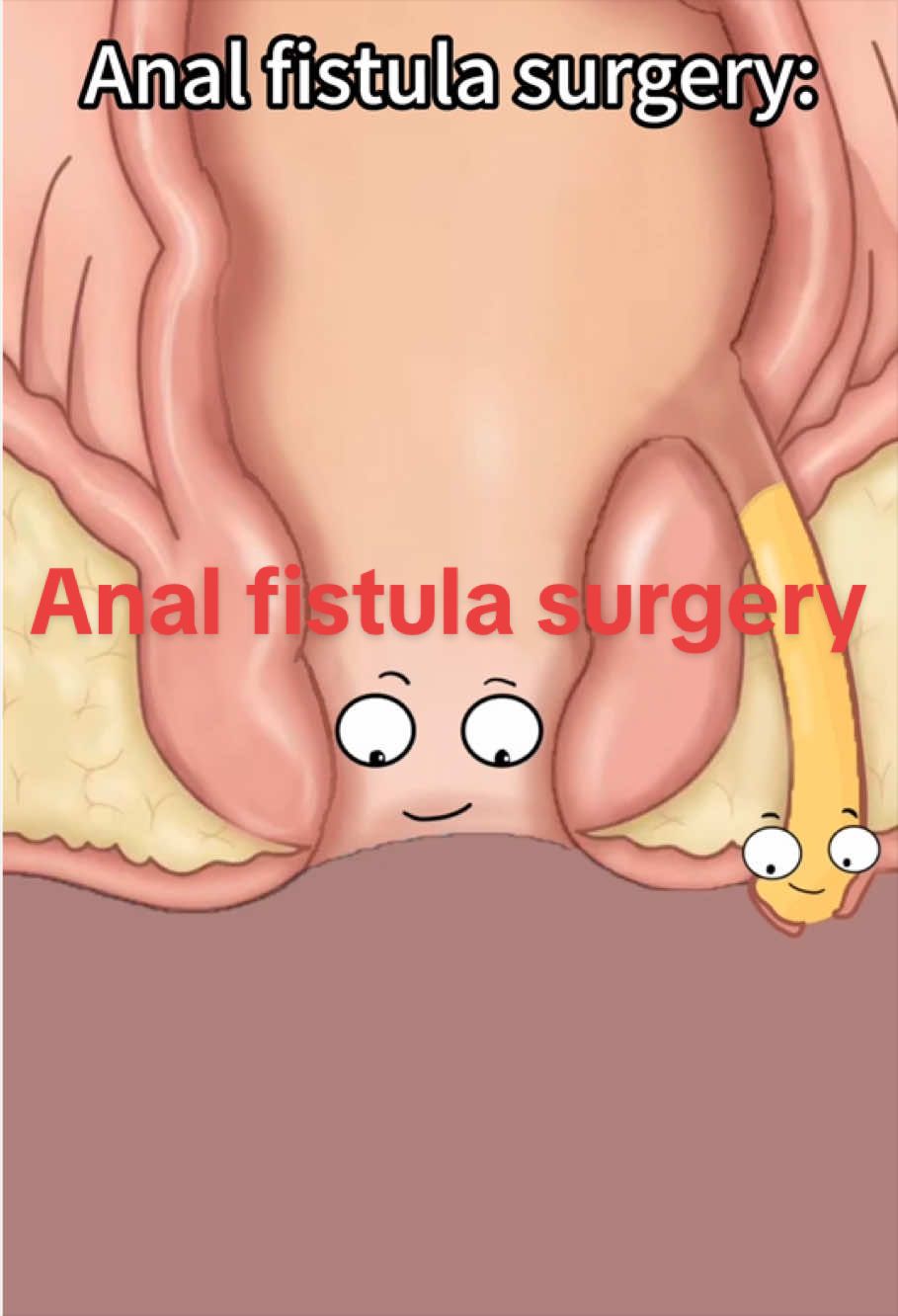 @Funny Animations