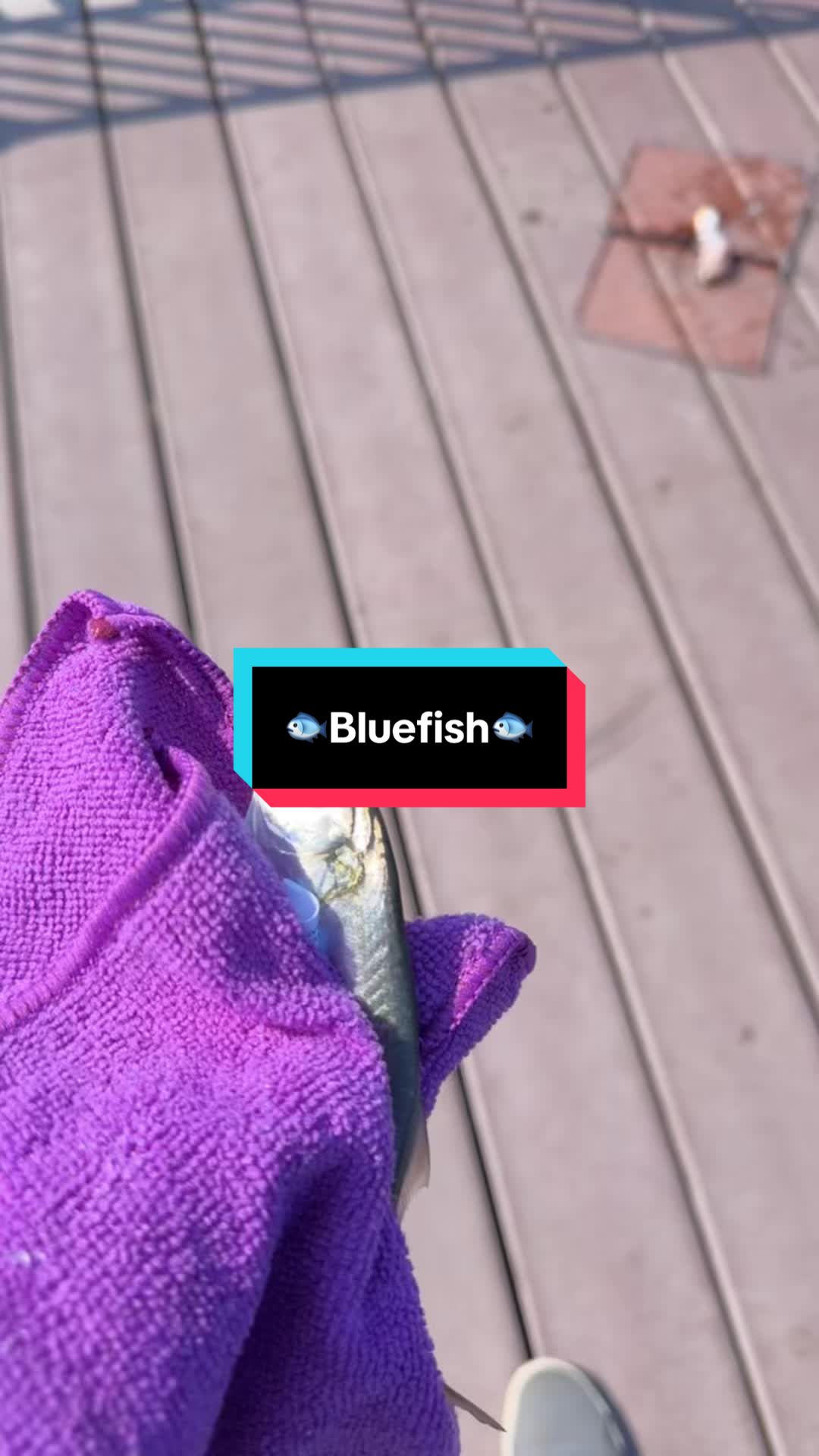 @fb1fishing