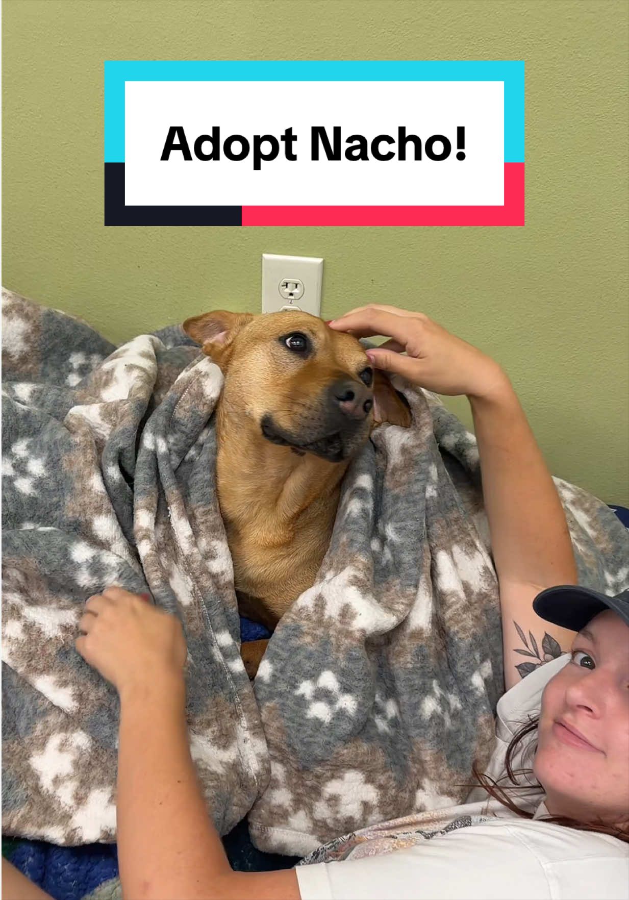 @PAWS Shelter