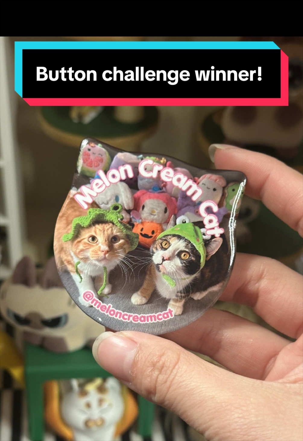 @meloncreamcat