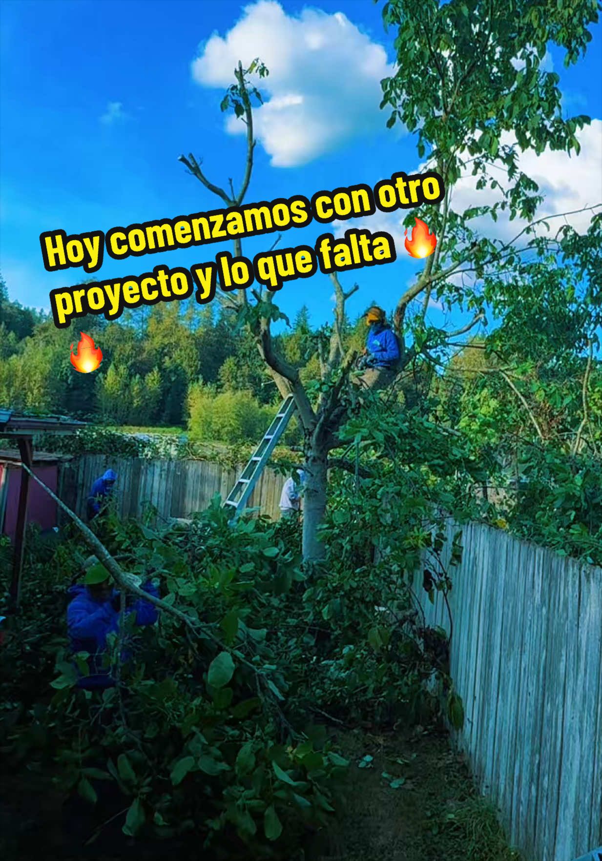 @ElChamakon720
