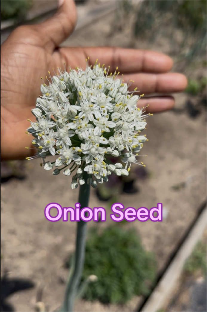 @Gardening4ME