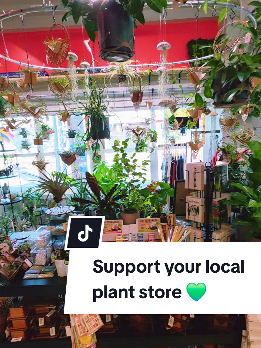 @terraplanted | West Seattle