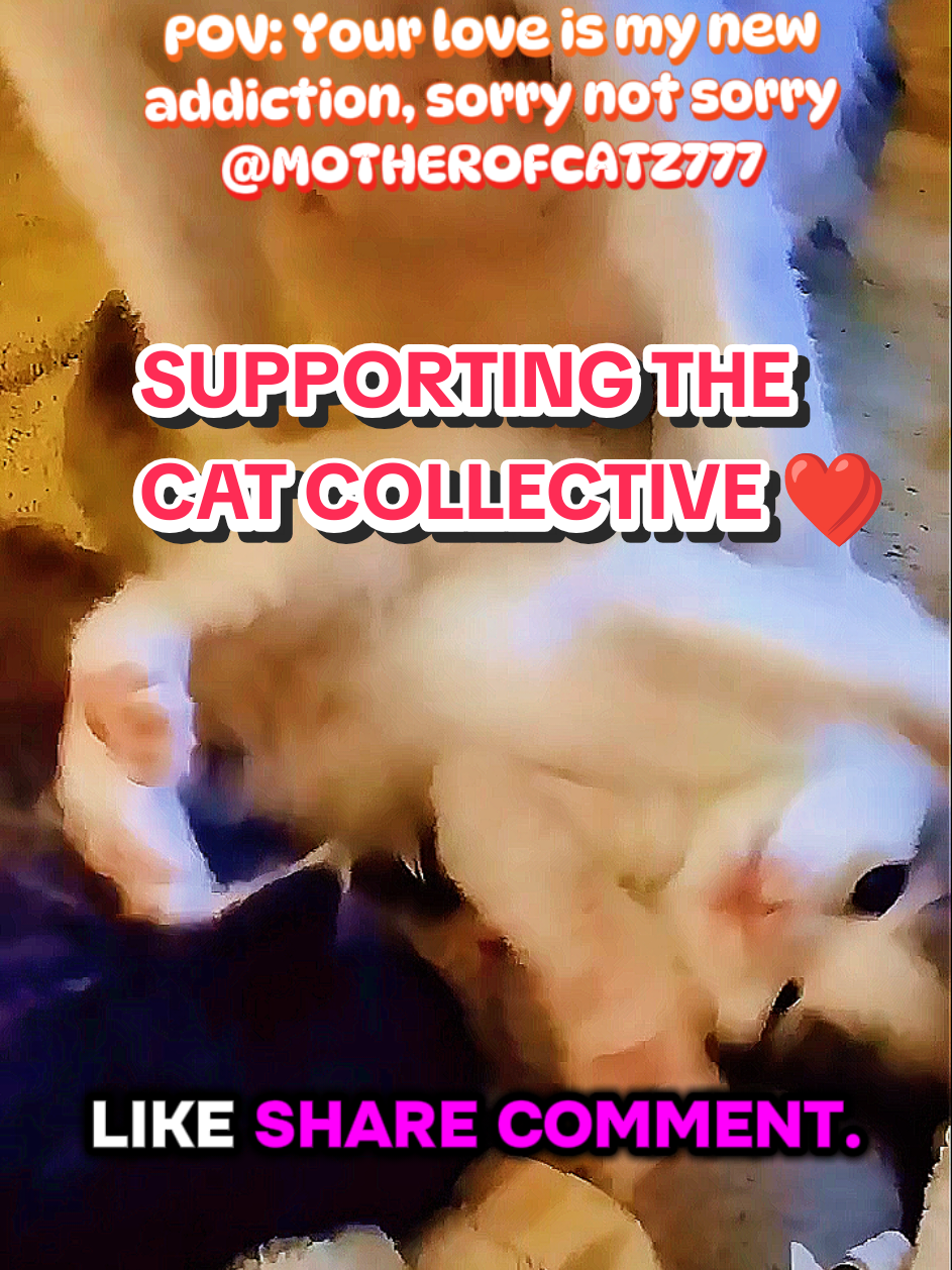 @MOTHEROFCATZ777