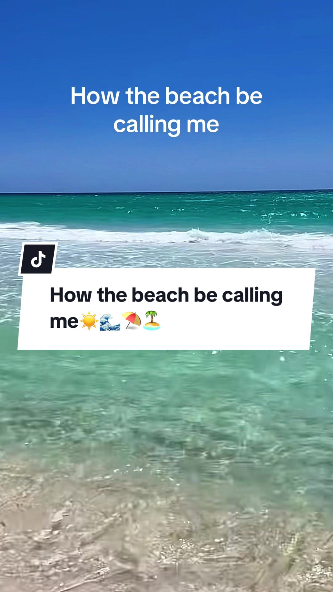 @suzyqz.official