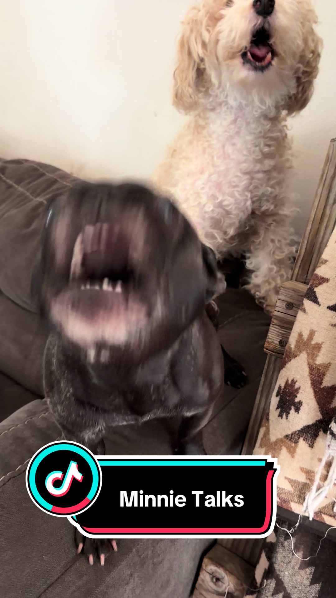 @minniecantalk