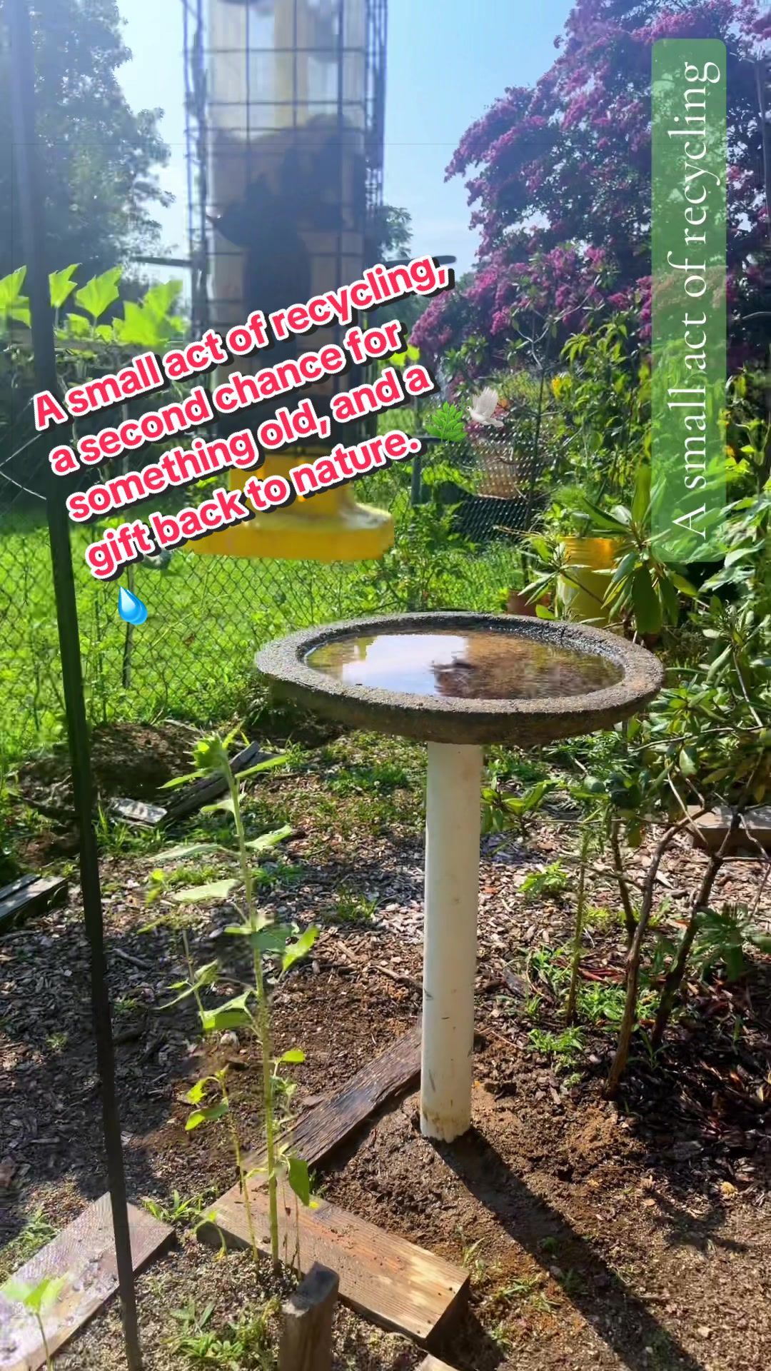 @regrownature
