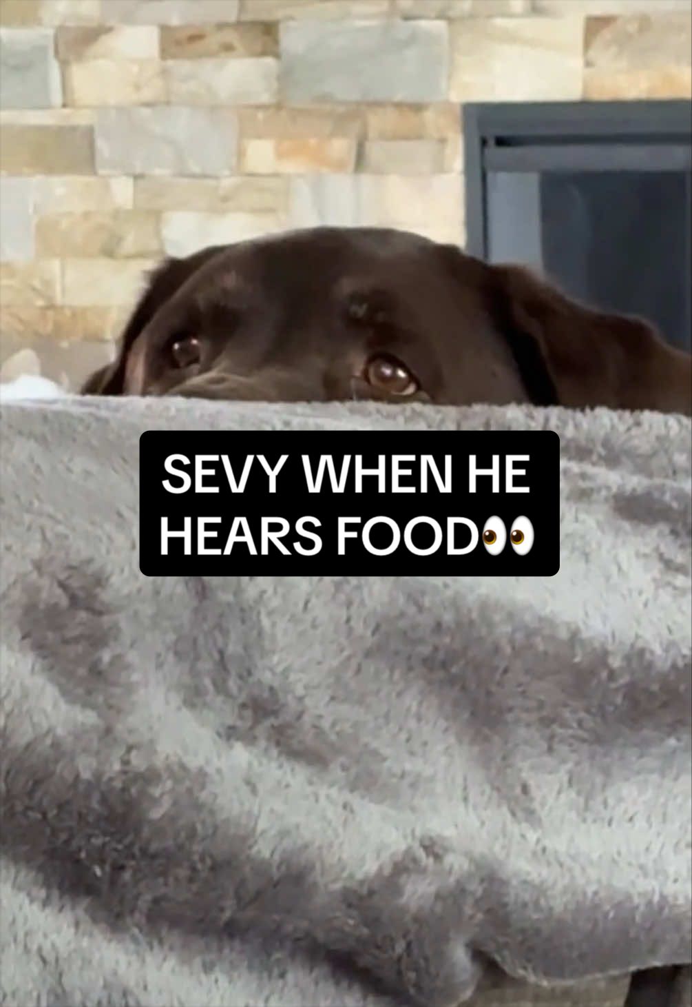 @Sevy and Gus 🐾
