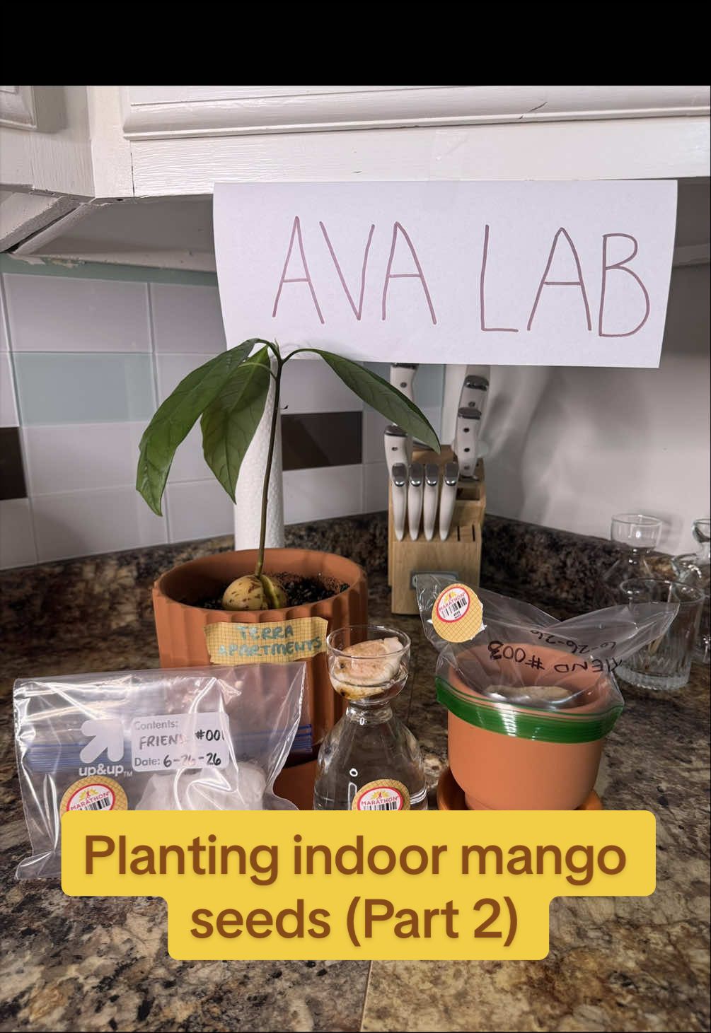 @Niki - Ava’s Mom 🥑🌱