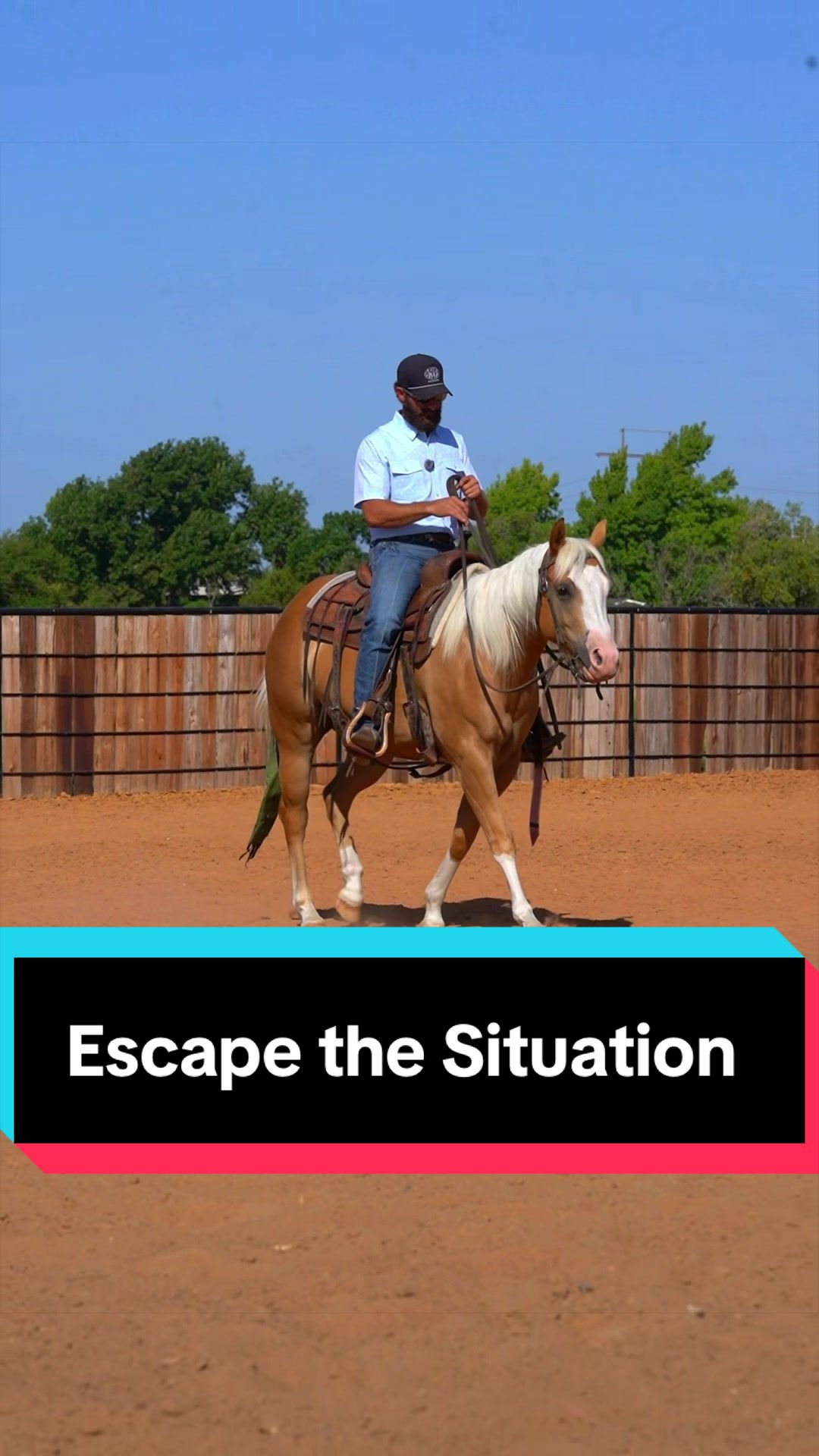 @WS Horses