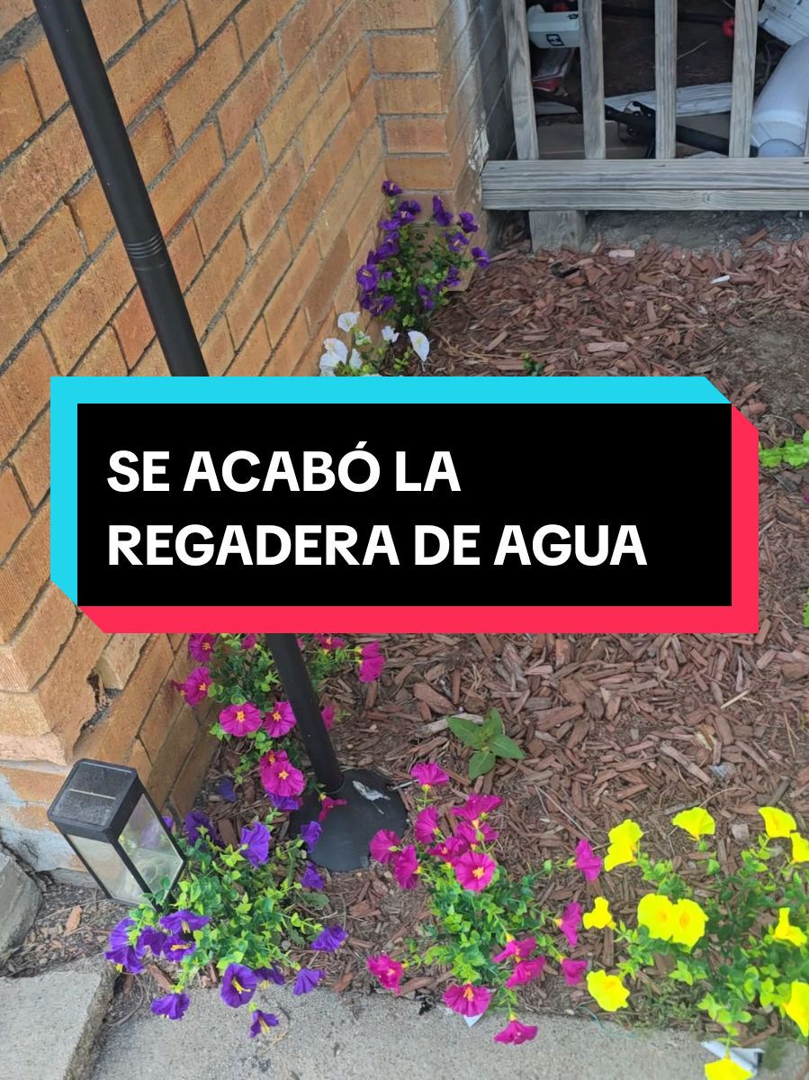 @🩸Asael➡️loTiene🇨🇺