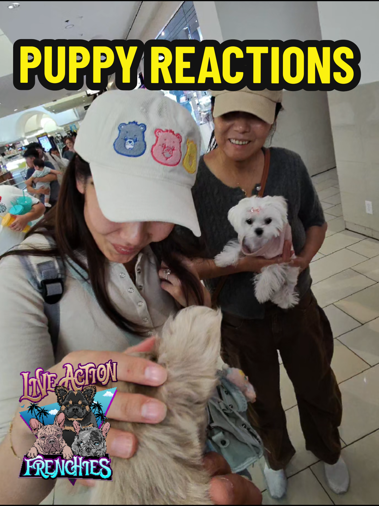 @Live Action Hype Shop