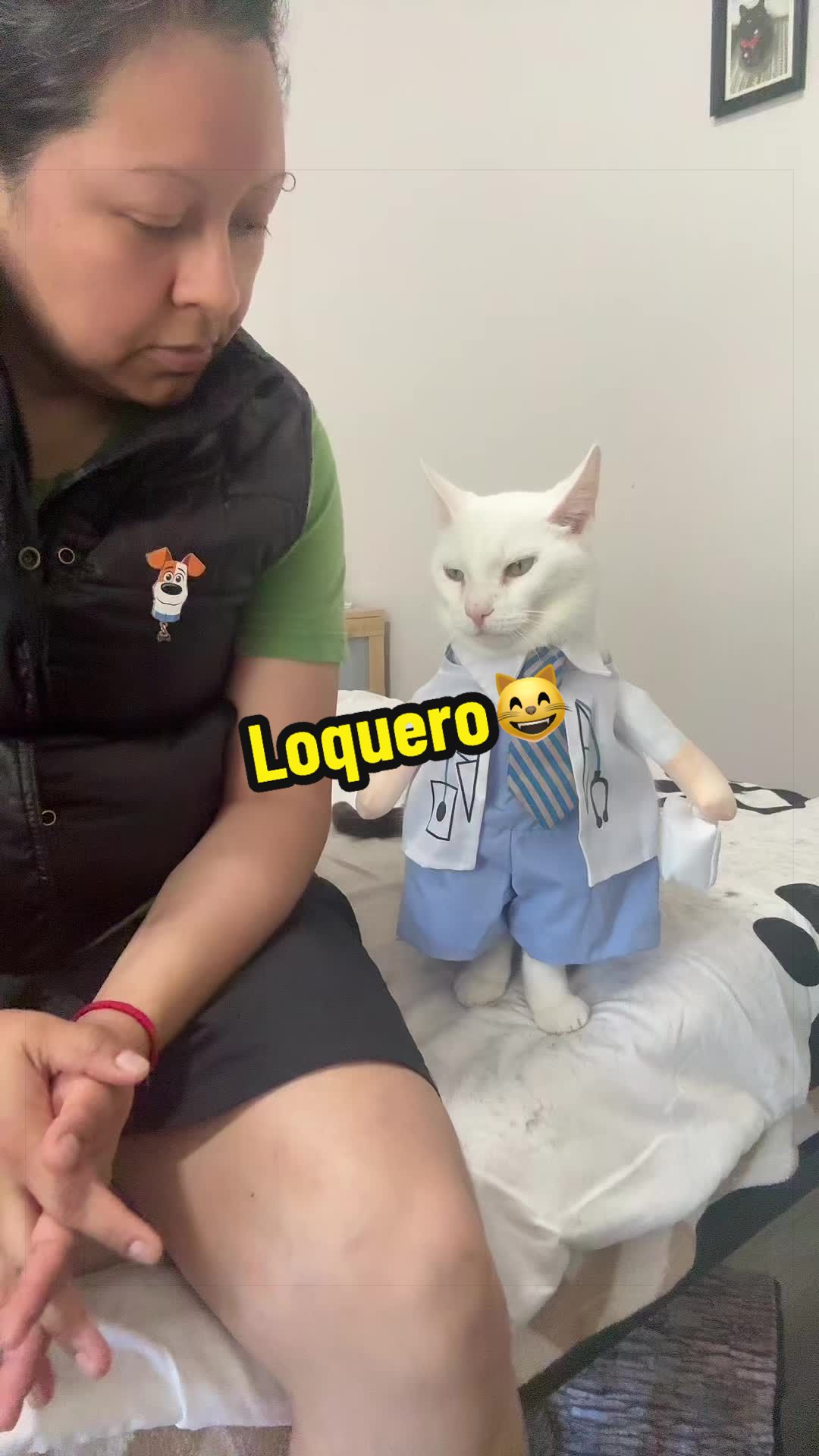 @🦖 MEOWassic CAT😺